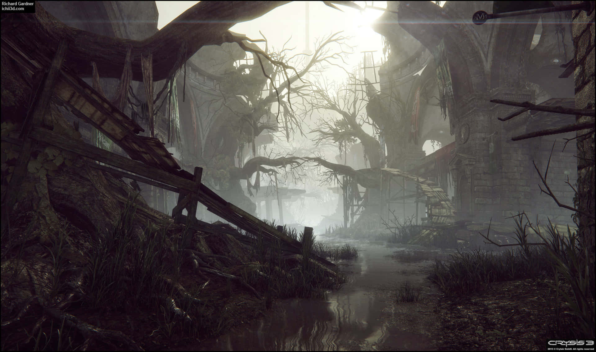'The explosive beauty of Crysis 3 rendered at 2440x1440.'