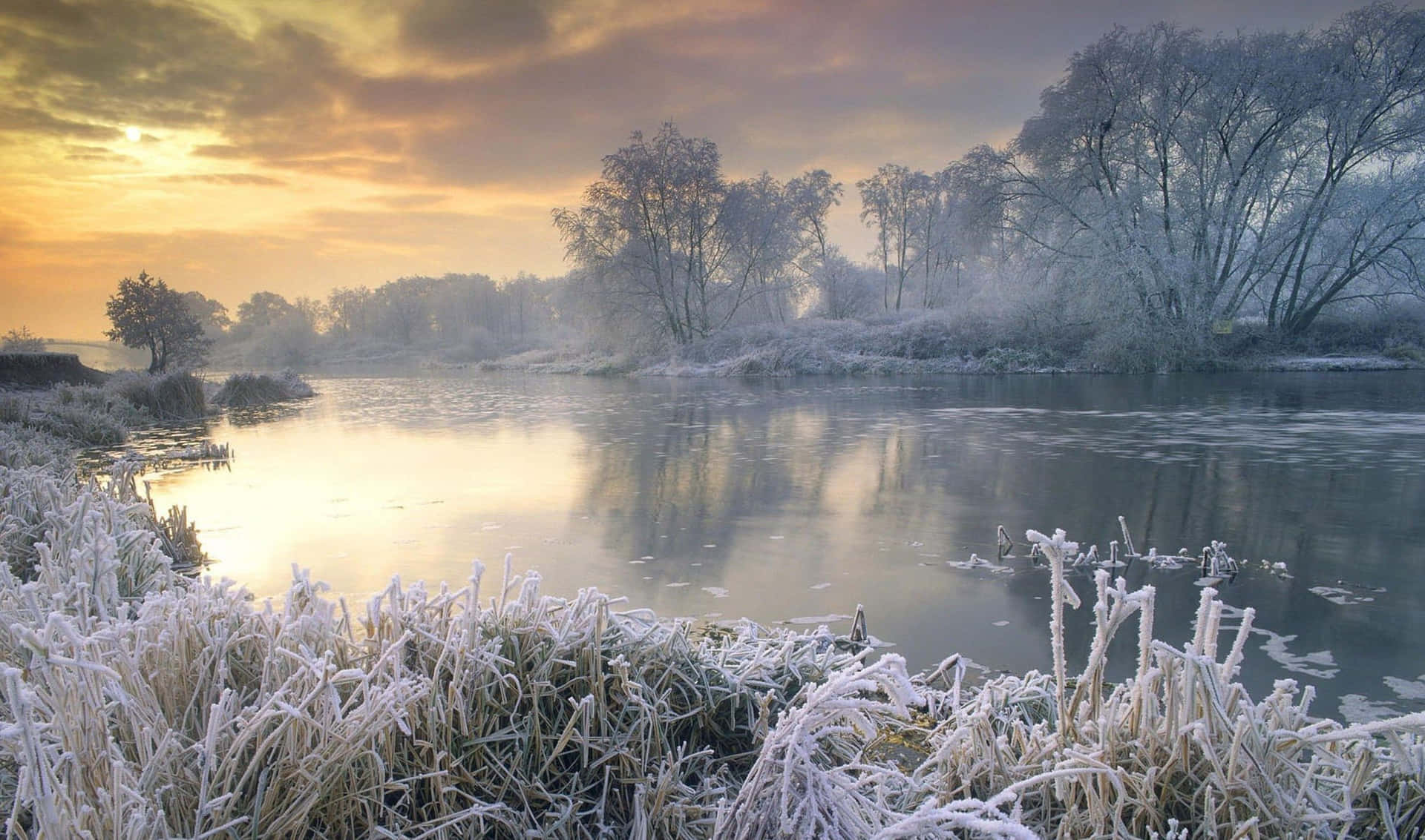 A Frozen River With Grass And Trees