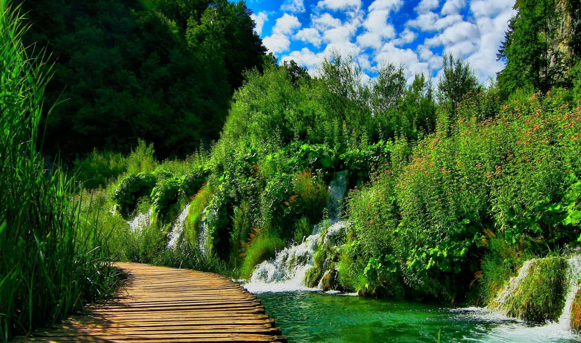 Plitvicesjöar, Kroatien, Natur, Vattenfall, Trä, Natur, Hd-bakgrundsbild