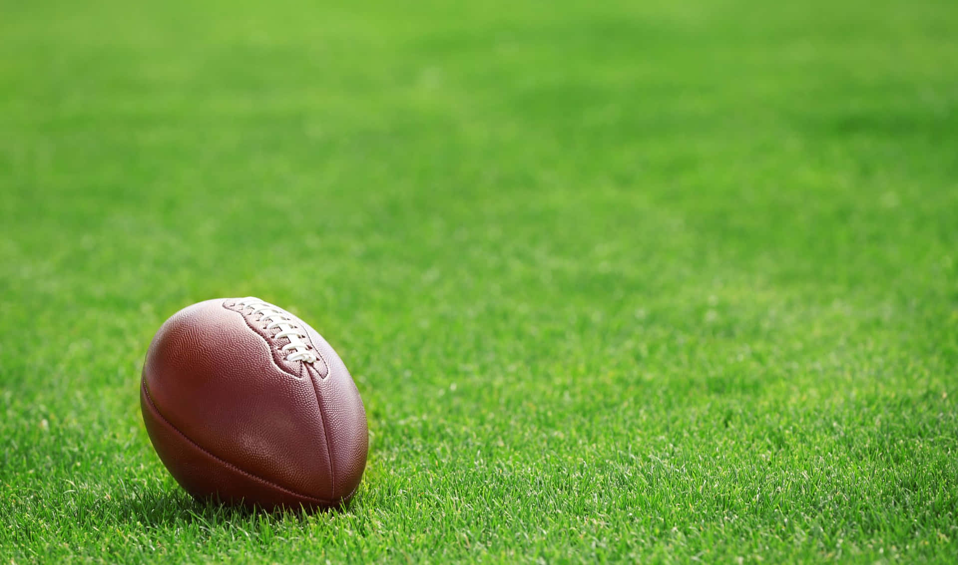 2440x1440 Football Background Brown Rugby Ball On The Grass Background