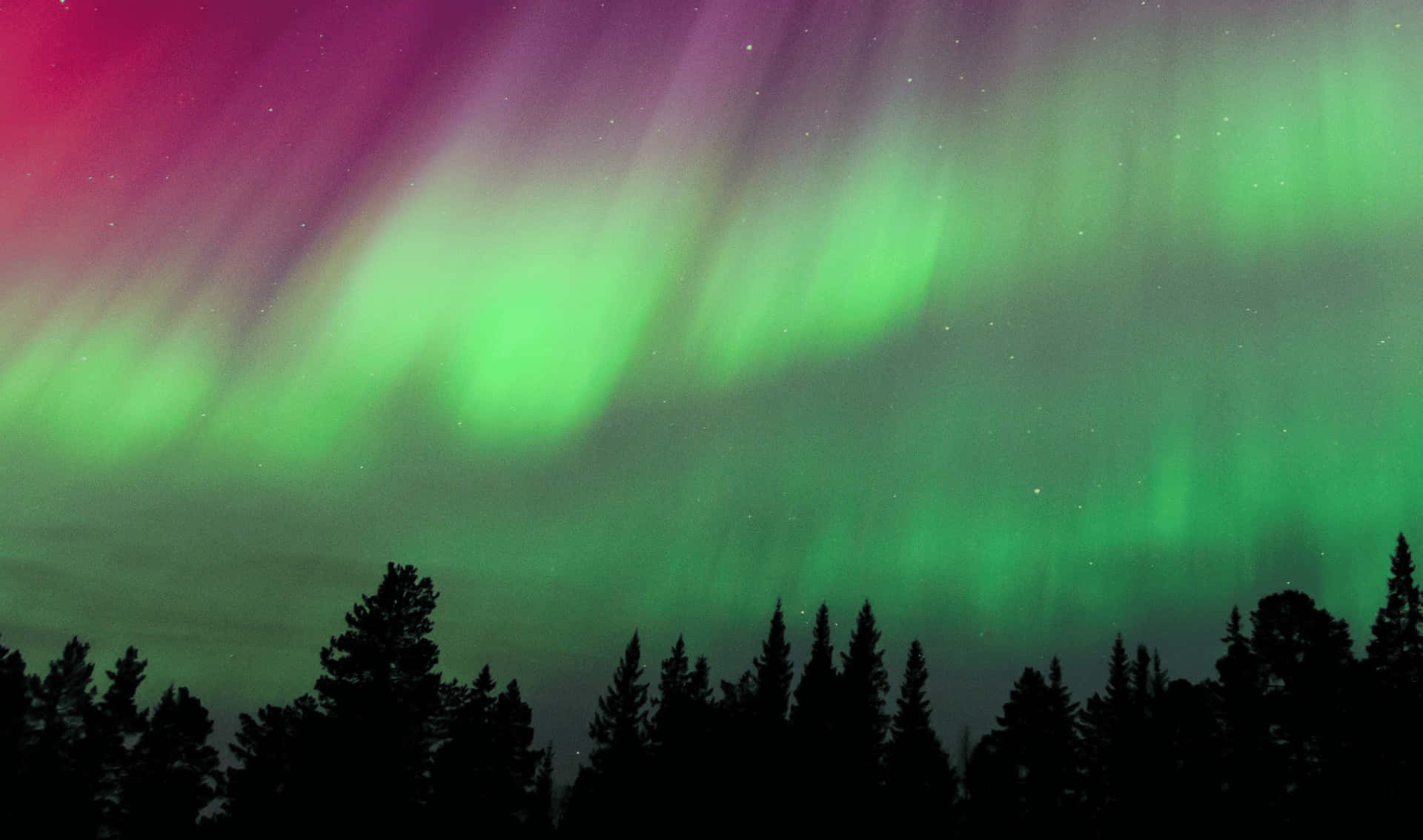 Northern Lights 2440x1440 Monitor Background