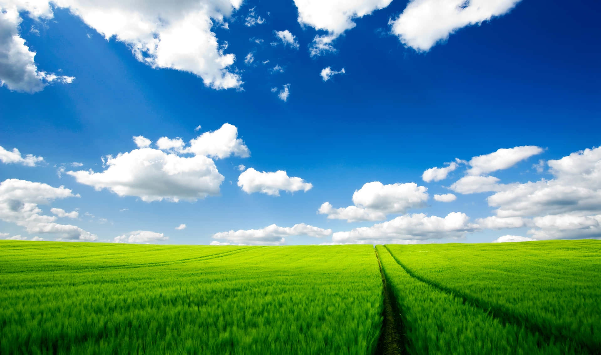 a green field with clouds and blue sky
