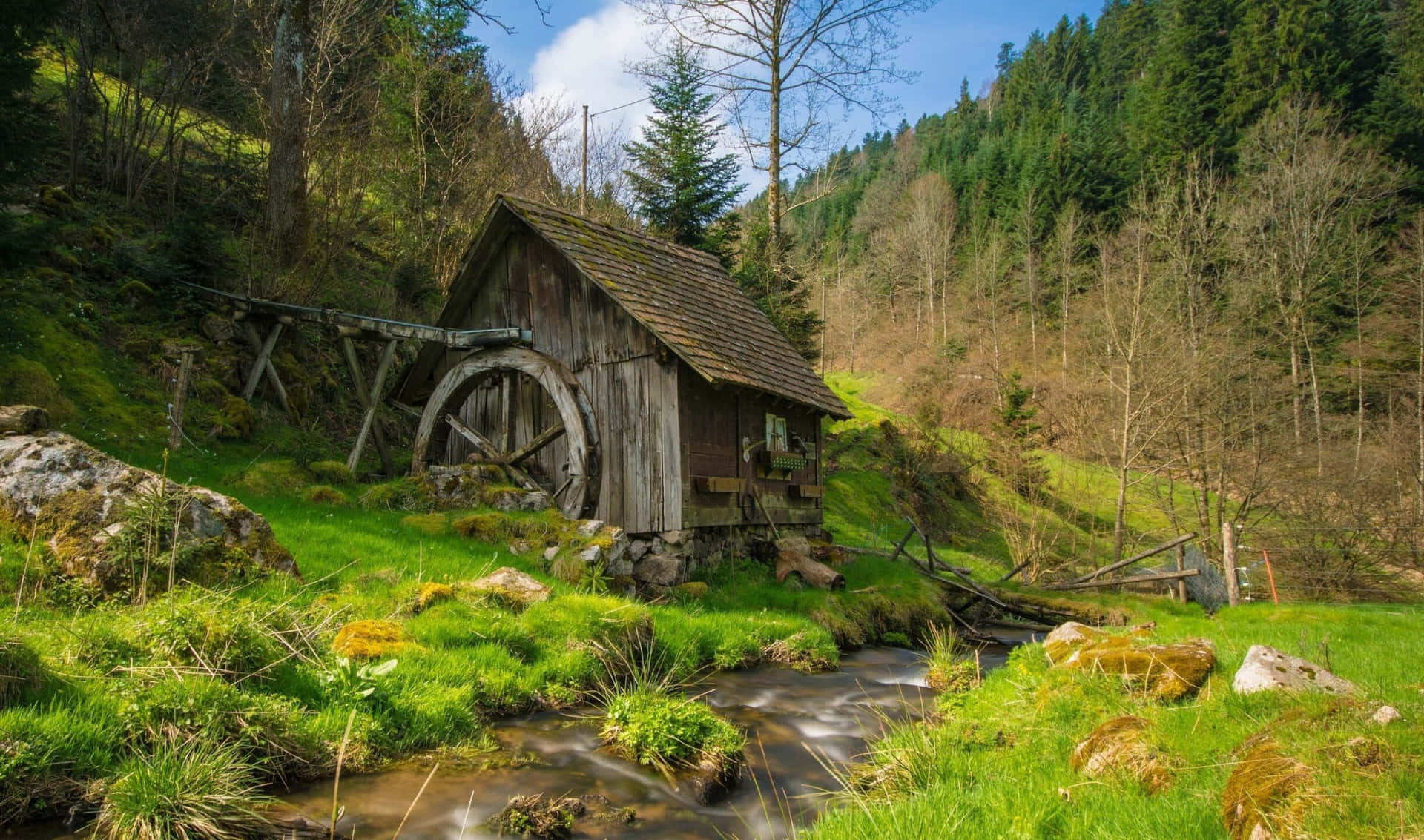a small wooden mill in the middle of a green forest