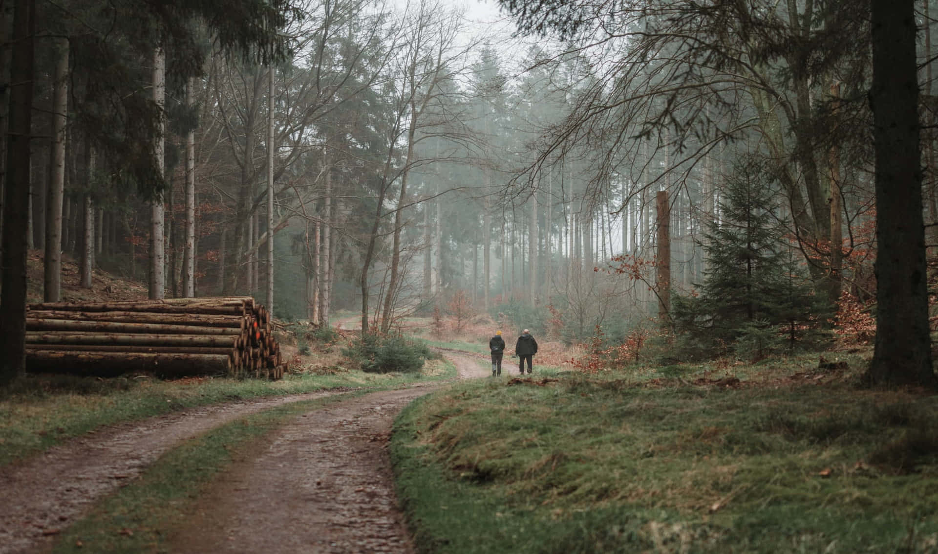 two people walking down a dirt road in the forest