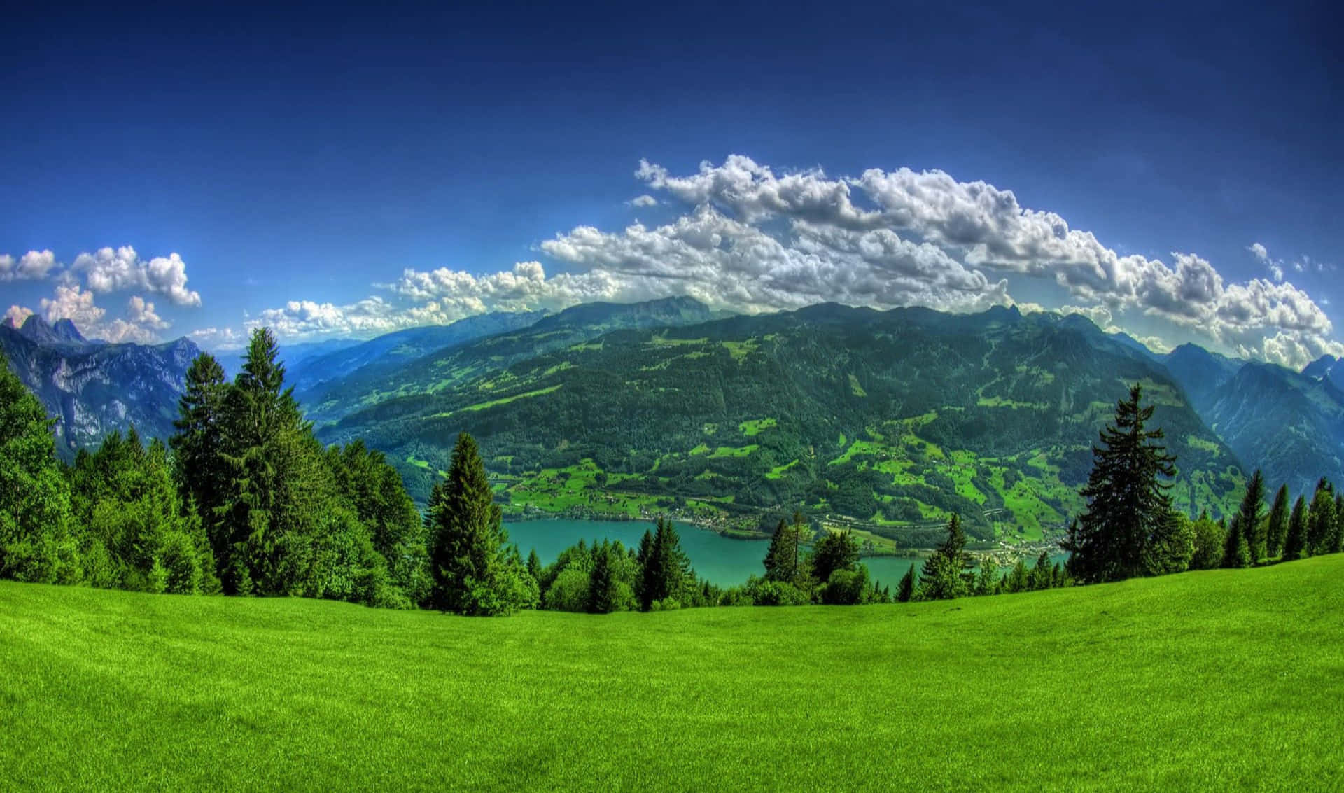a green field with trees and a lake