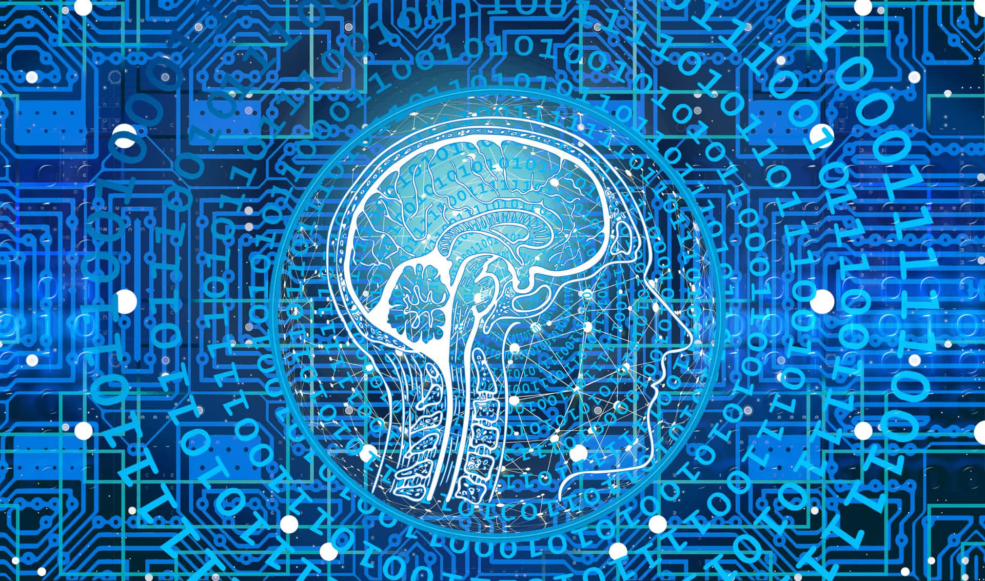 2440x1440 Programming Background Blue Transparent Human Brain Background