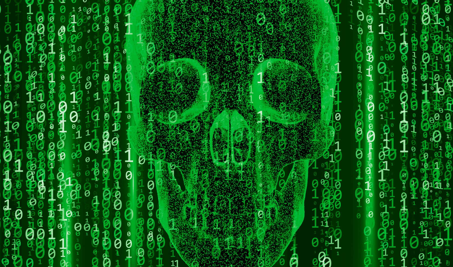2440x1440 Programming Background Green Matrix With A Skull