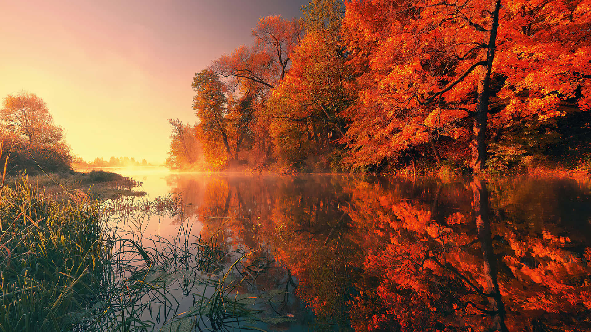2560 X 1440 Autumn Sunset Reflection Wallpaper