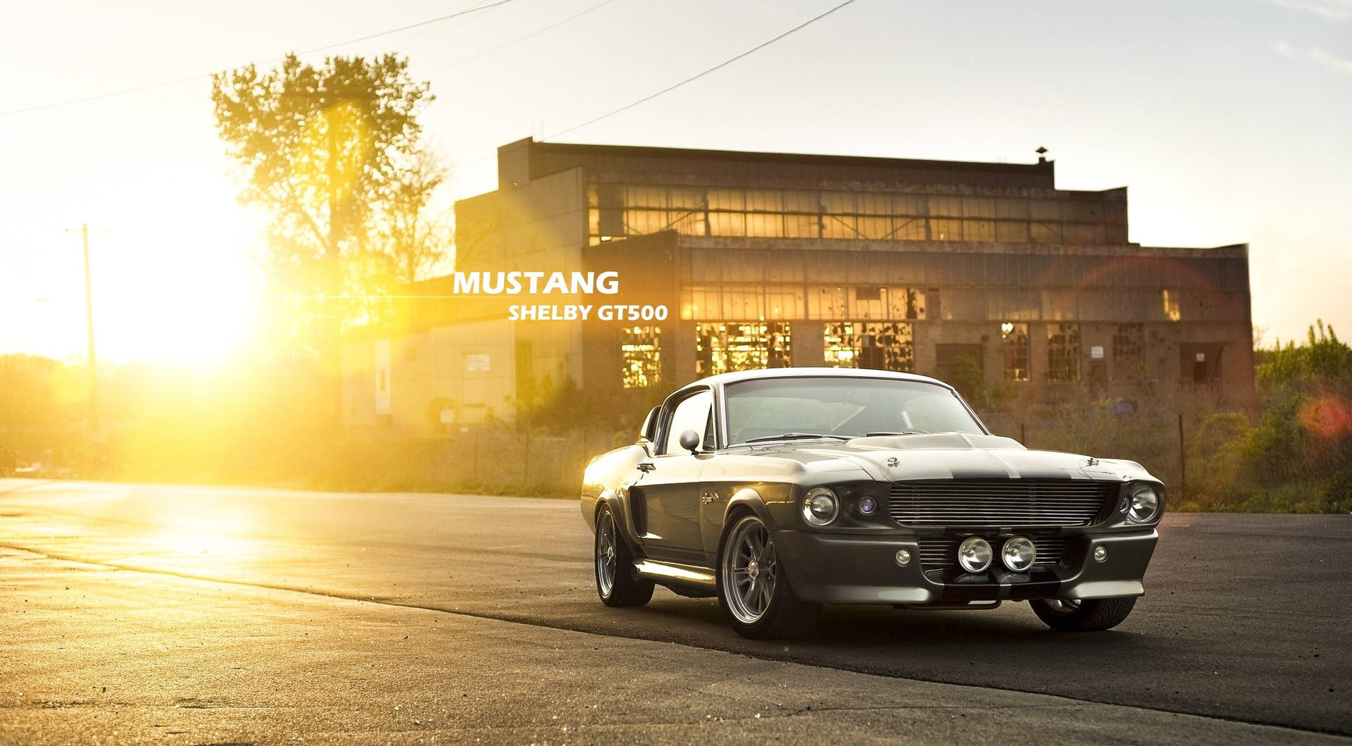 A Classic Mustang Is Parked In Front Of A Building Wallpaper