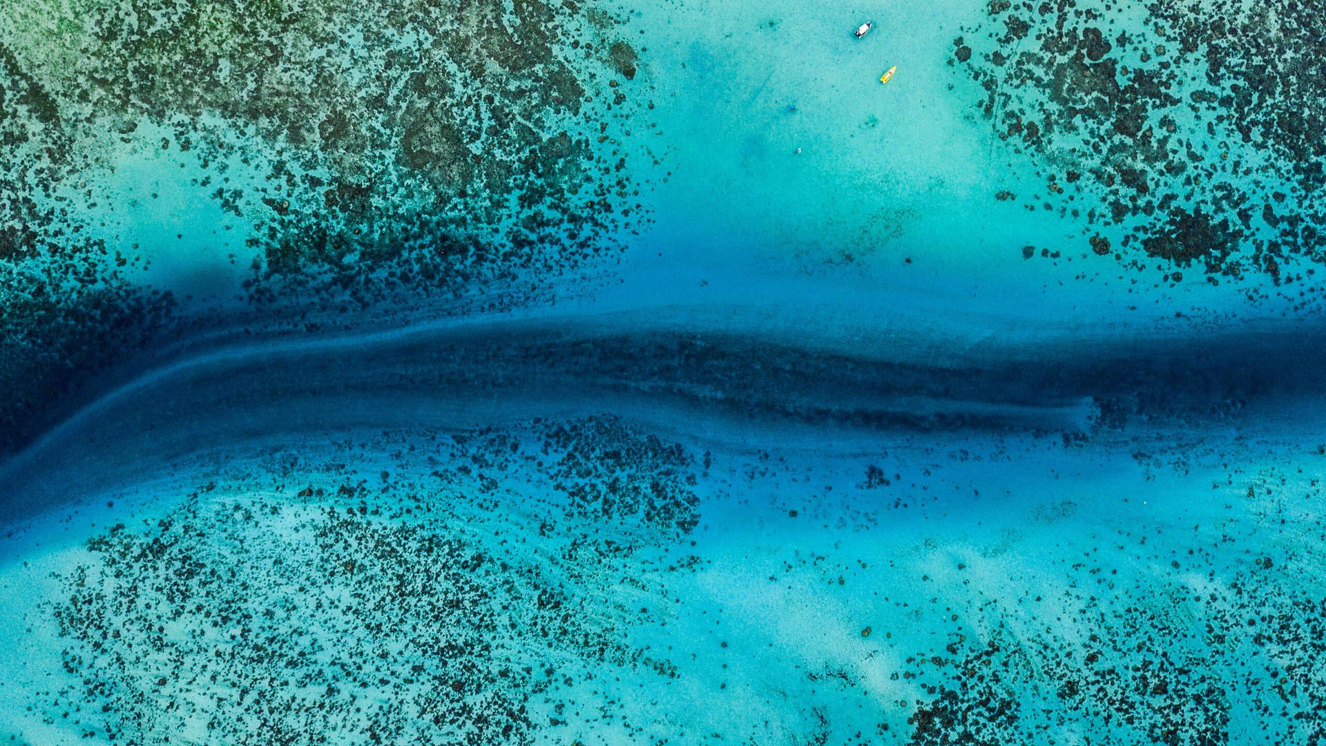 2560 X 1440 Deep Sea Trench Wallpaper