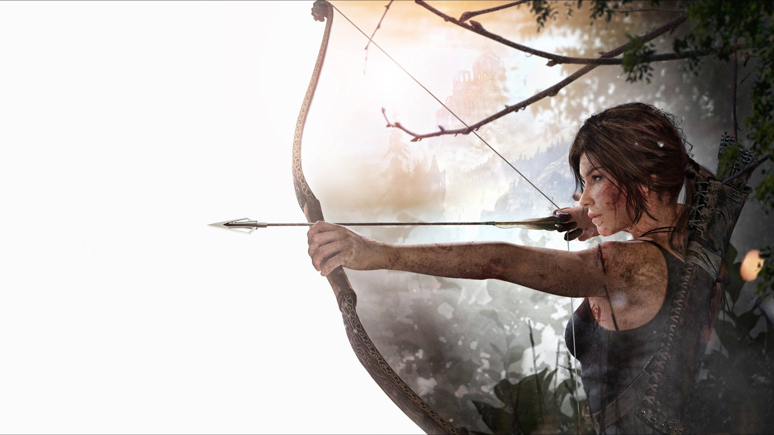 2560 X 1440 Tomb Raider Heroic Lara Croft Wallpaper