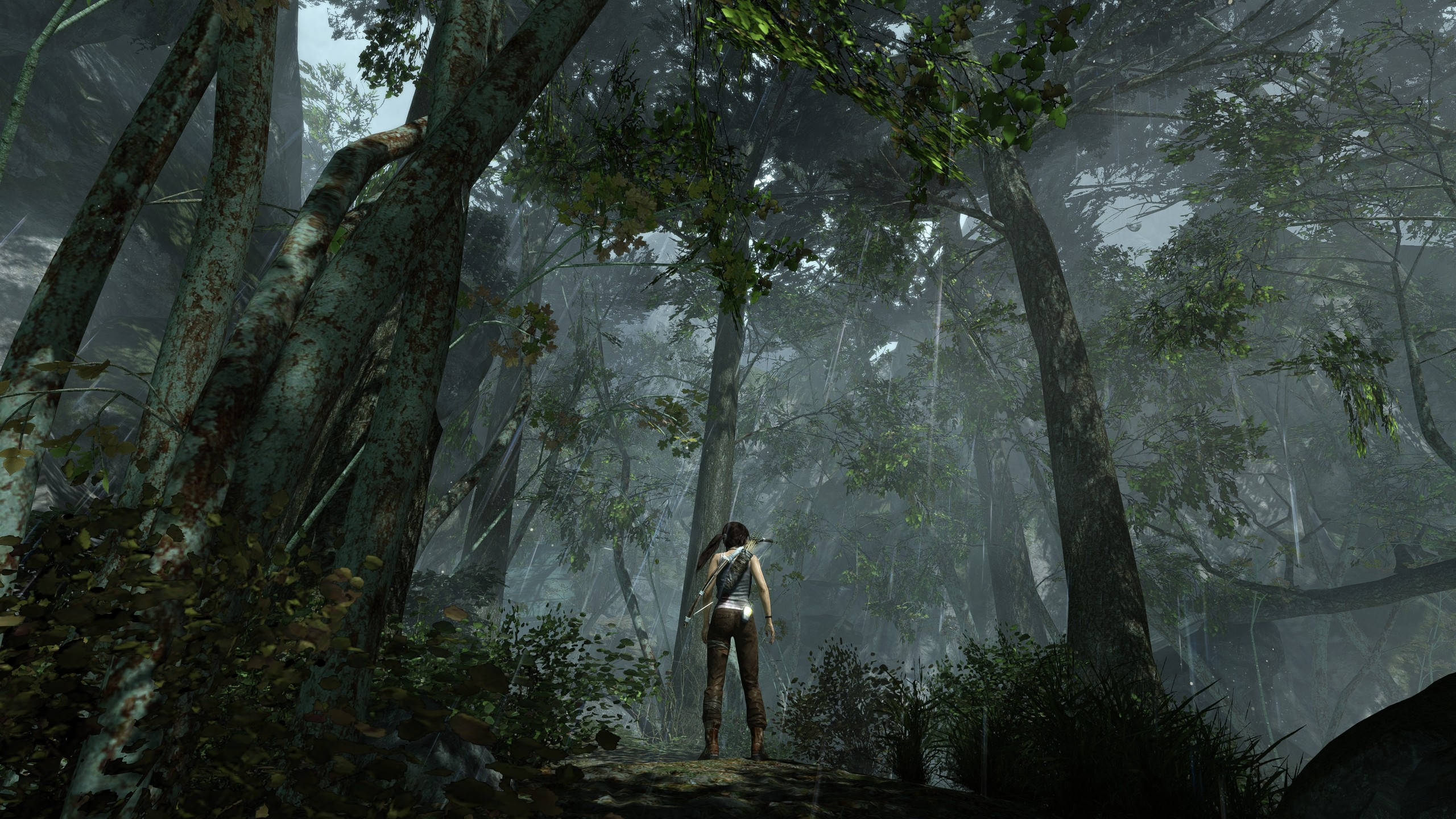 2560 X 1440 Tomb Raider Lara Croft Still Wallpaper