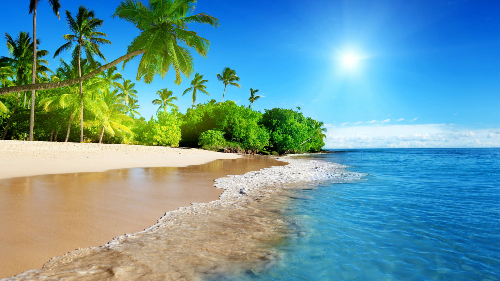 2560 X 1440 Tropical Seascape Picture