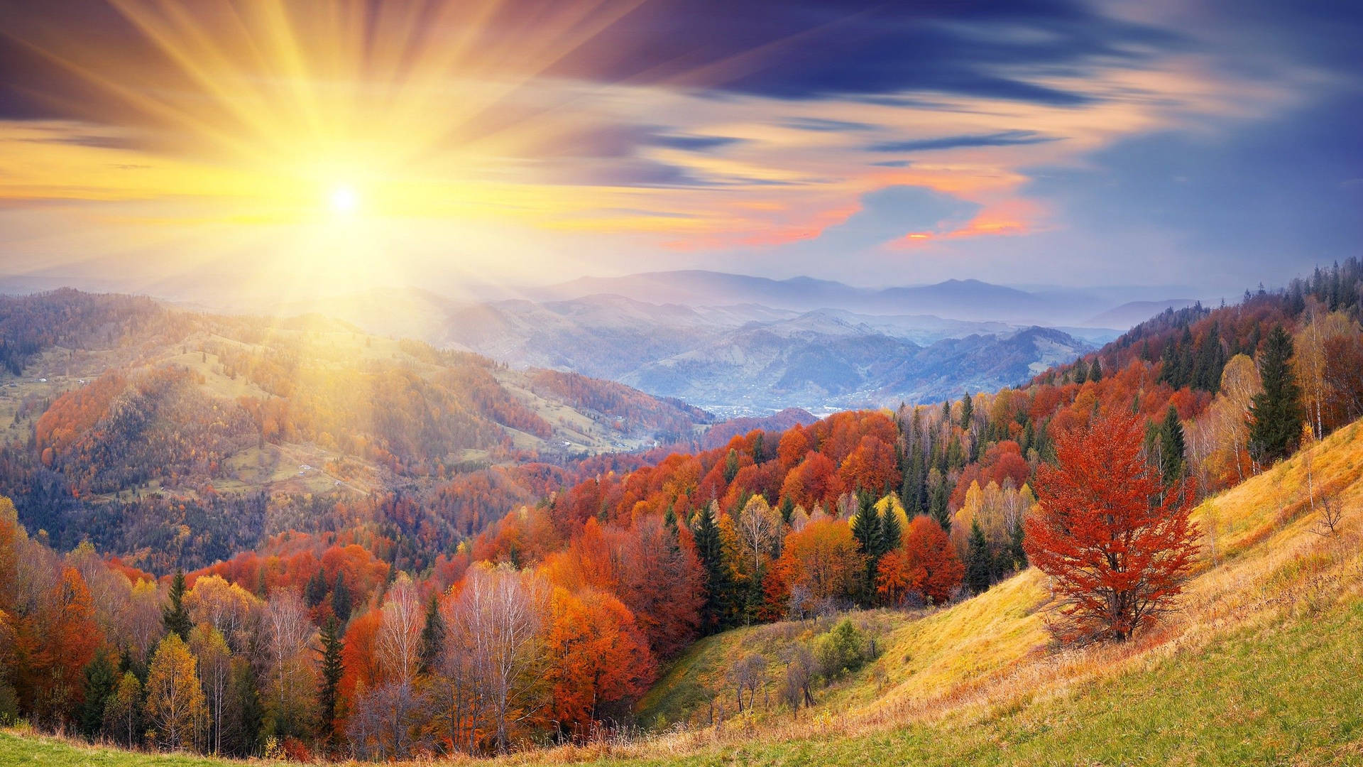 2560x1440 Fall Sunrise On Landscape Wallpaper