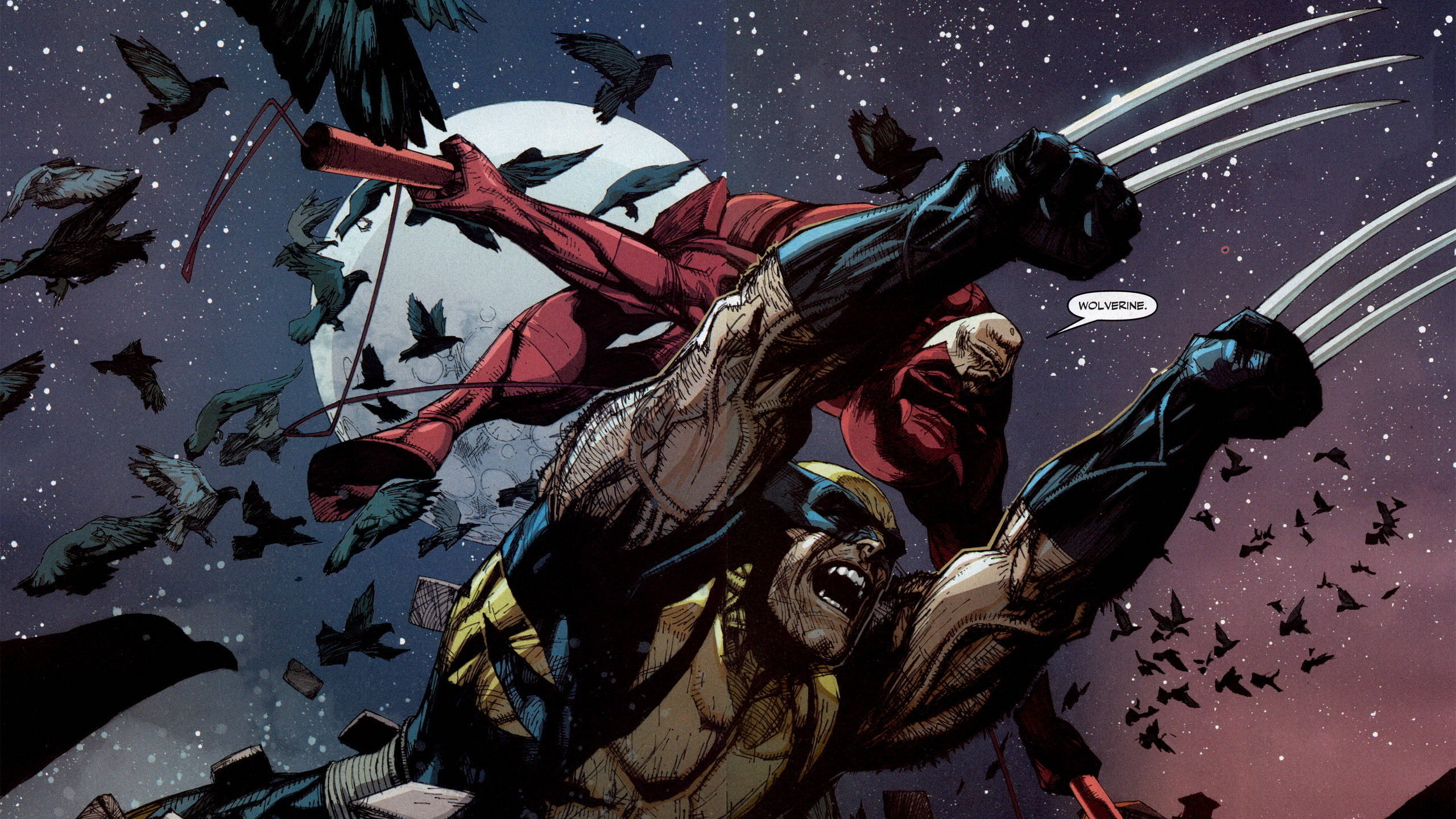 2560x1440 Marvel Daredevil Wolverine Background