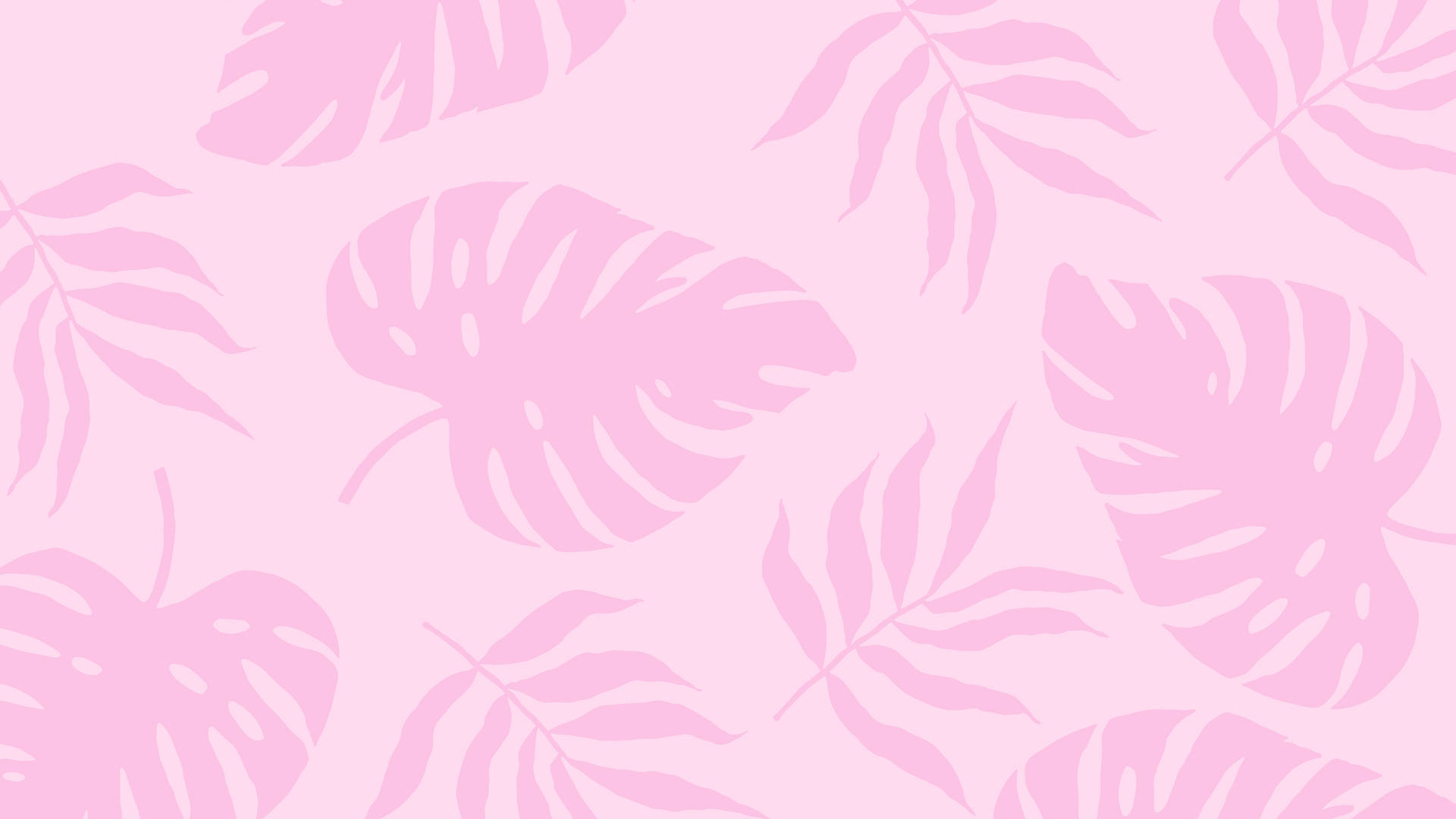 2560x1440 Summer Plants Pink Aesthetic Wallpaper