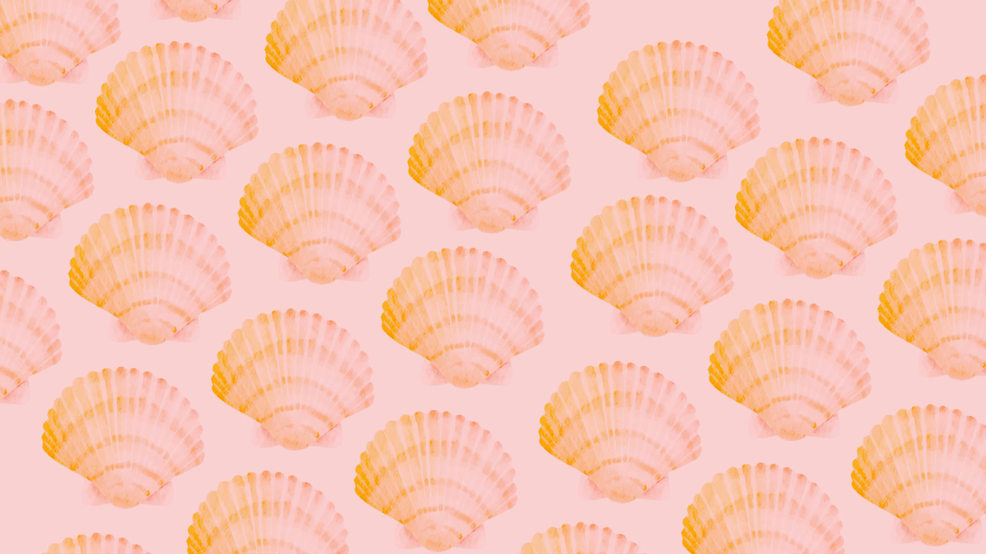 2560x1440 Summer Seashell Pattern Wallpaper