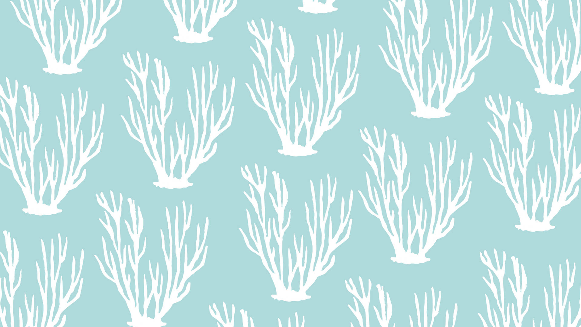 2560x1440 Summer Seaweed Pattern Wallpaper
