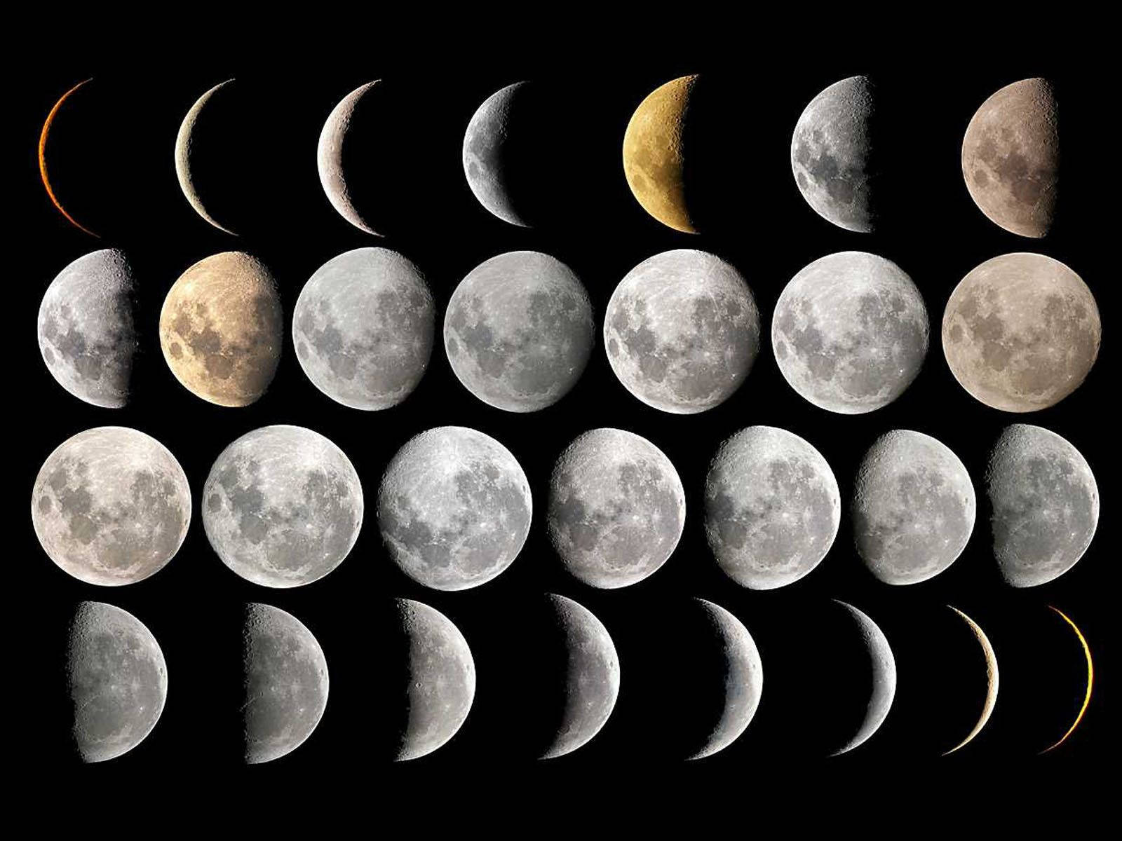 28fases Lunares En Diferentes Tonalidades Fondo de pantalla