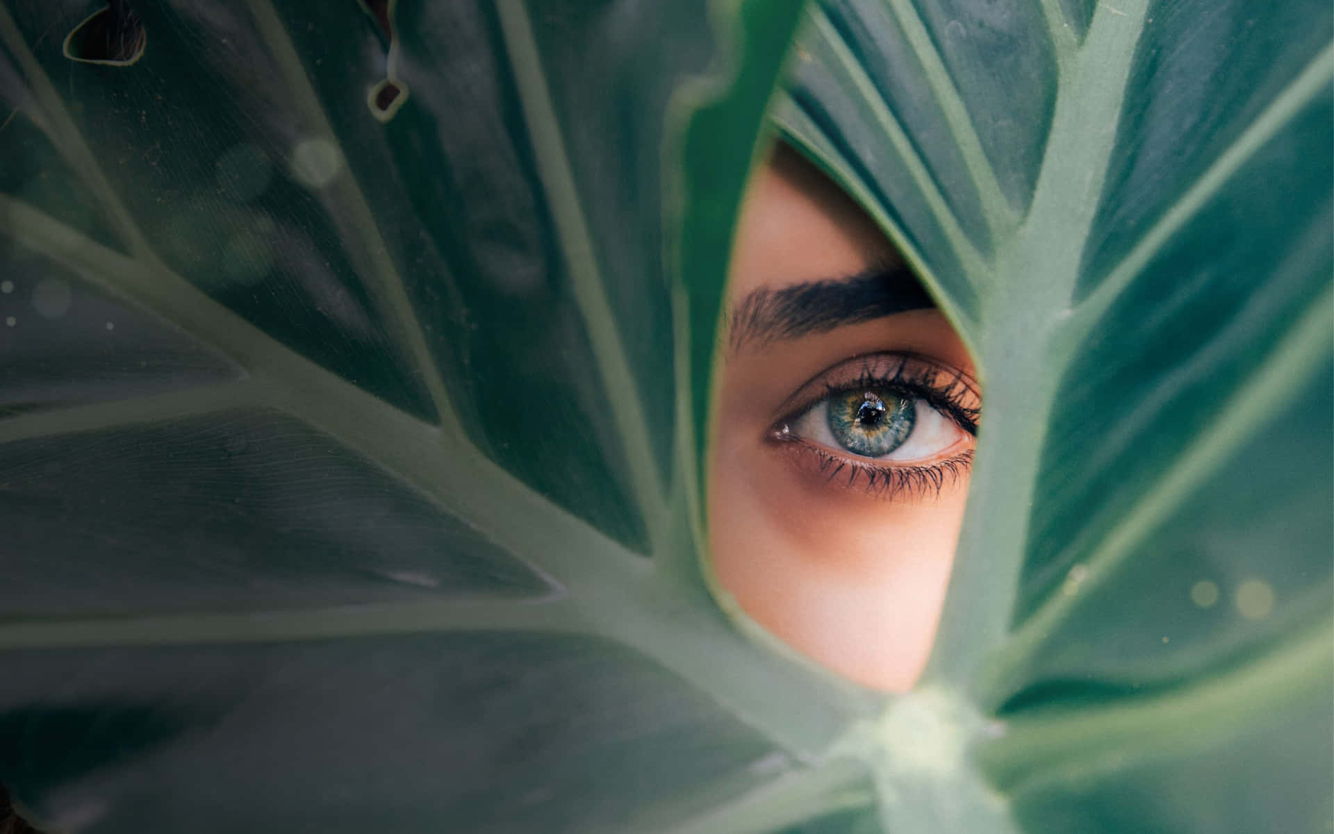 A Woman's Eye Peeking Out Of A Leaf Wallpaper