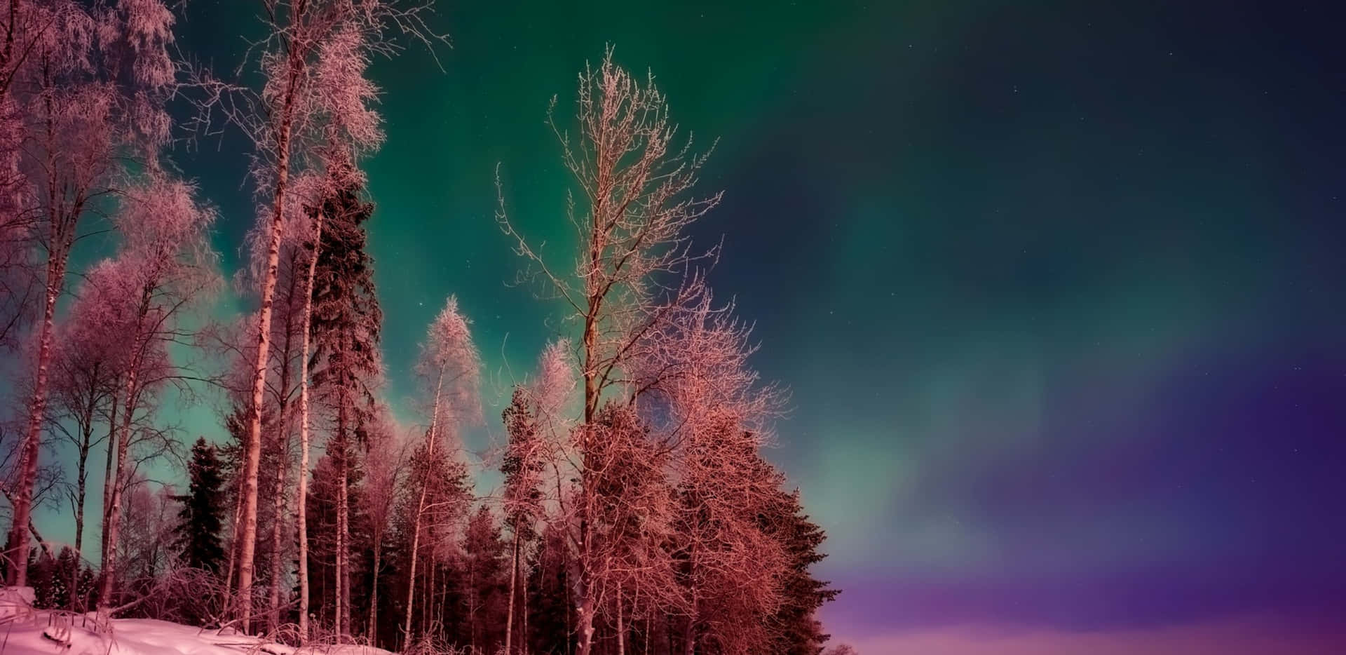 The Aurora Borealis Is Seen Over A Snowy Landscape Wallpaper