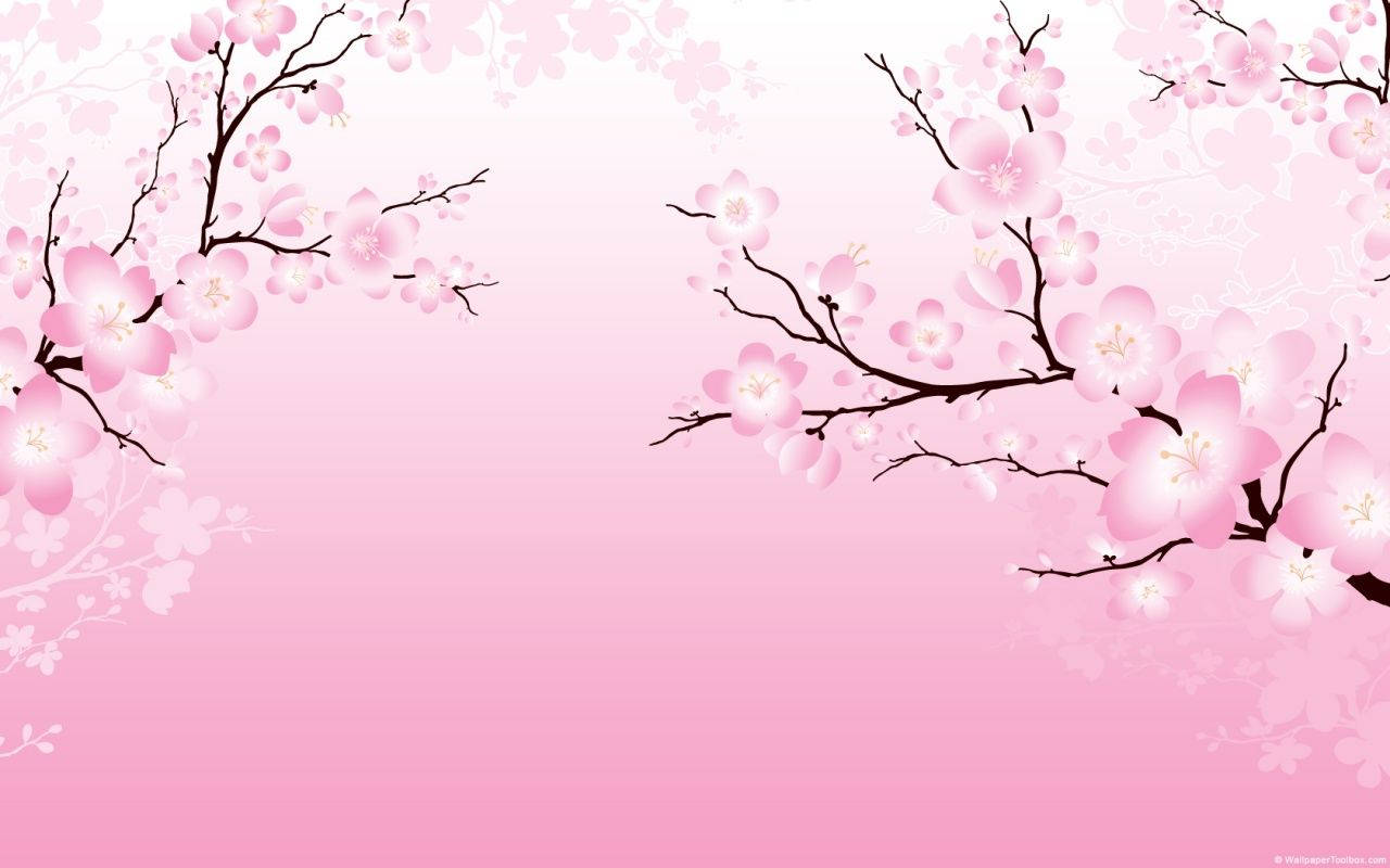 2D Cherry Blossom Wallpaper
