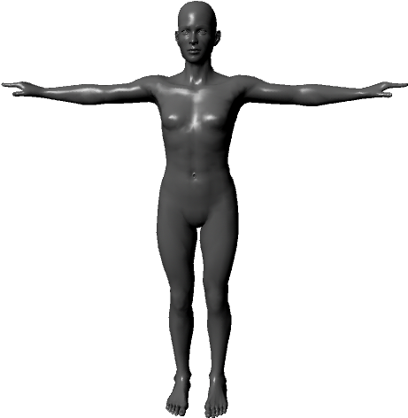 3 D Human Figure Model PNG