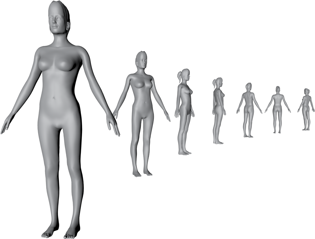 3 D Human Growth Sequence PNG