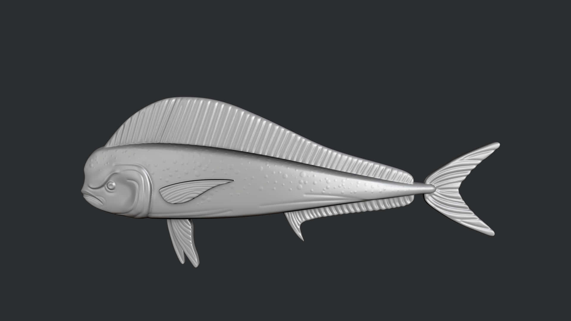 3 D Model Dolphinfish Wallpaper