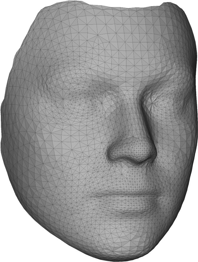 3 D Model Face Wireframe PNG