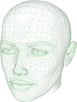 3 D Model Wireframe Head PNG