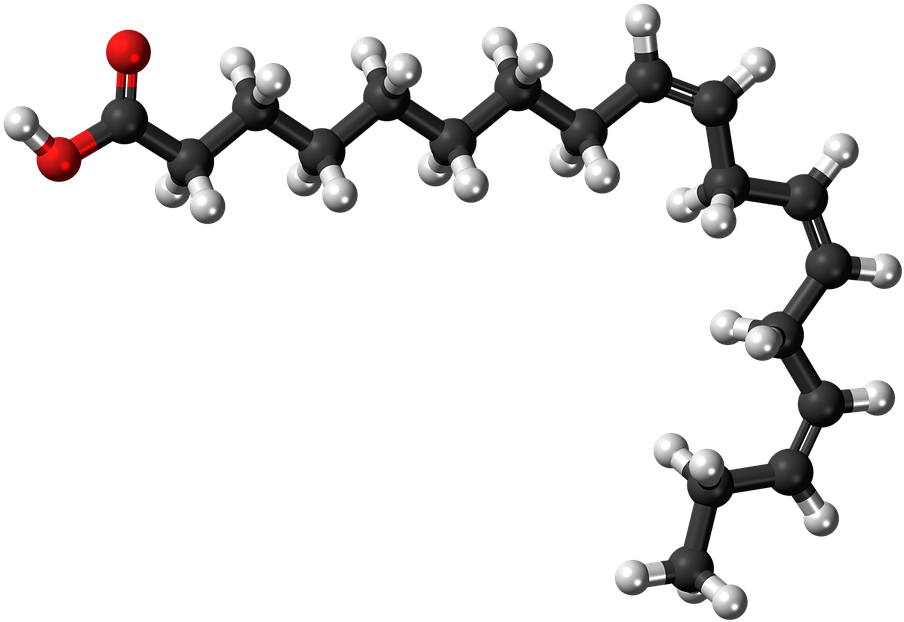 3 D Molecular Structureof Fatty Acid PNG