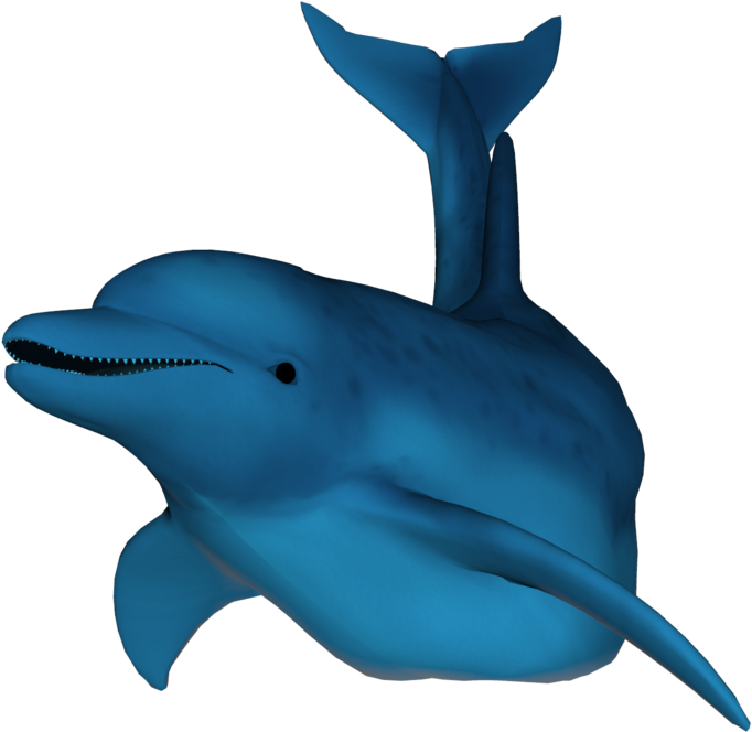 3 D Rendered Blue Dolphin PNG