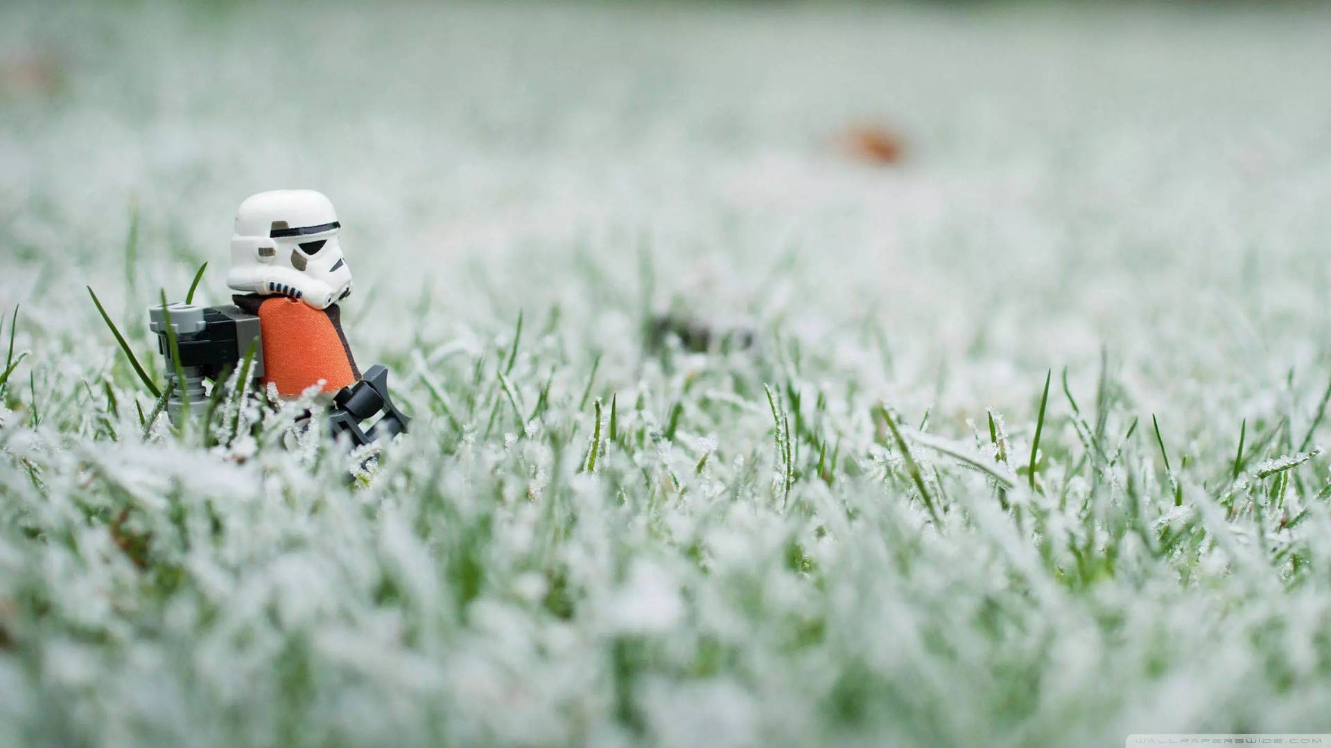 32k Ultra Hd Nature Star Wars Stormtrooper In Grass Background