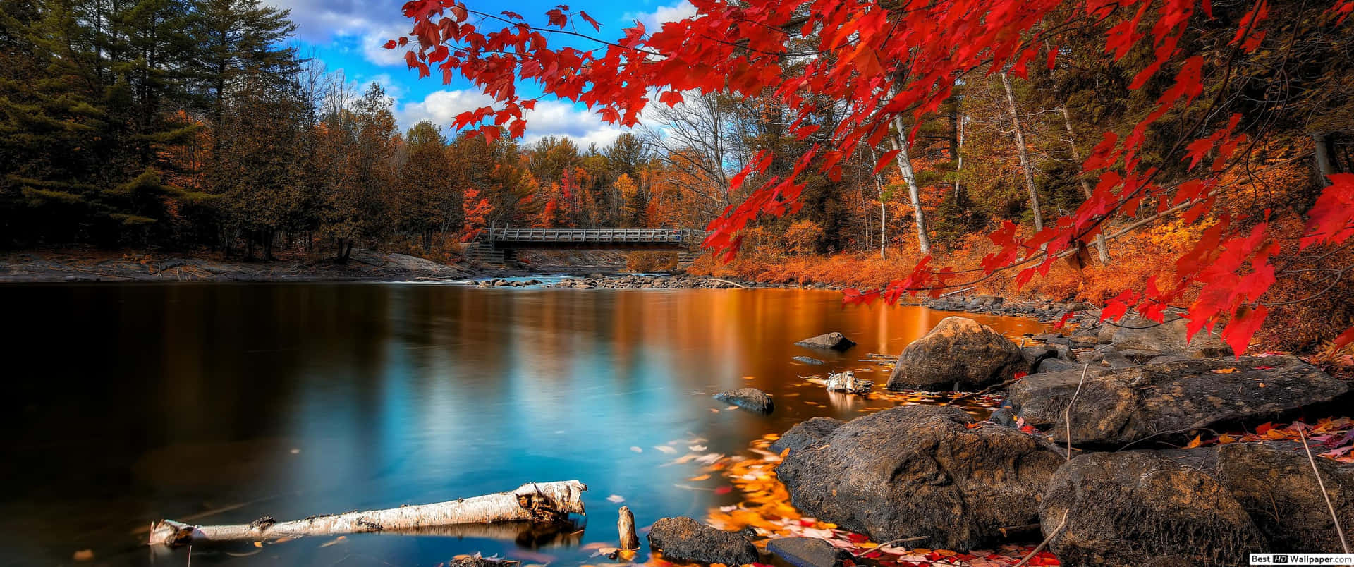 Welcome Autumn with a vibrant 3440x1440 Fall wallpapers Wallpaper