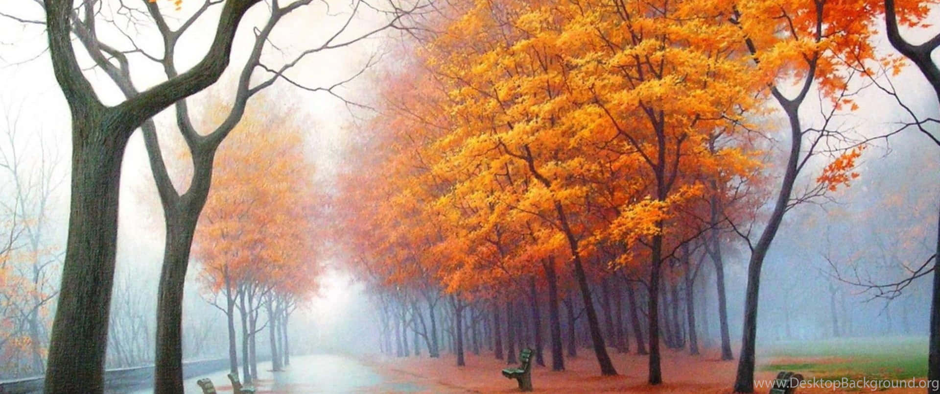 Nyd skønheden af ​efteråret i 3440x1440-opløsning. Wallpaper