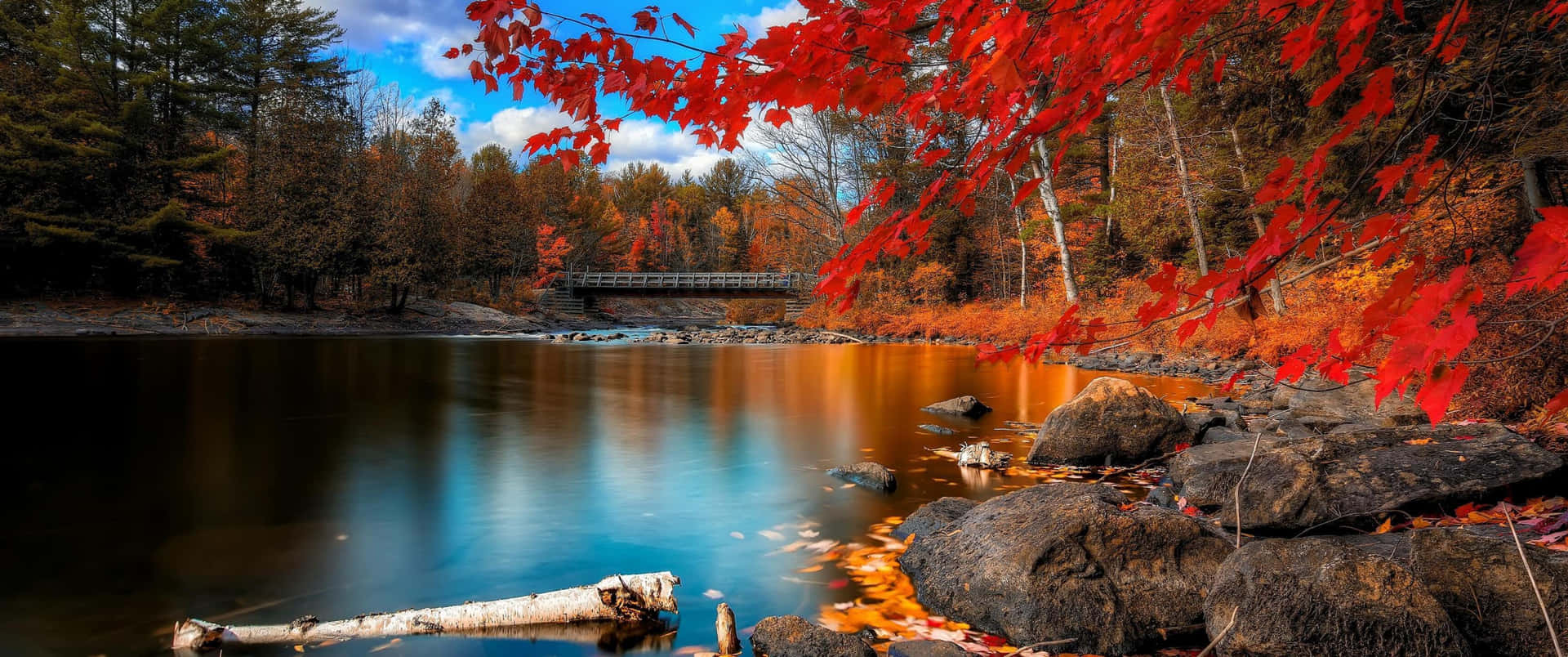 Enjoy the Colors of Fall Wallpaper