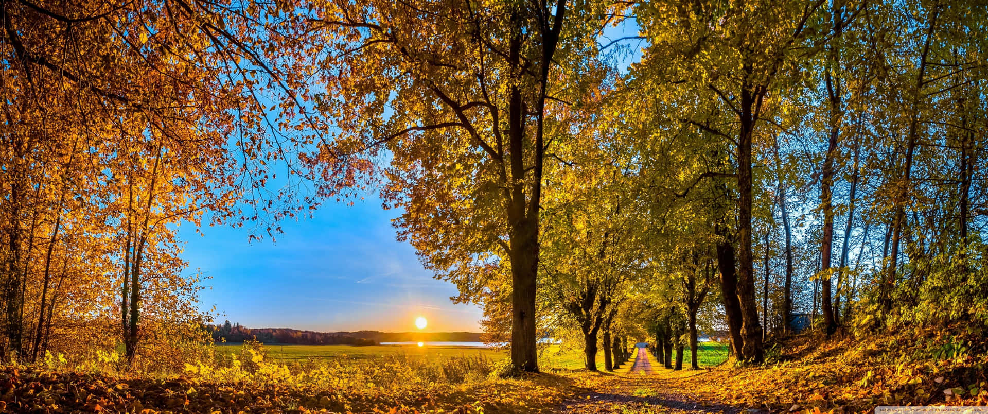 Goditiil Paesaggio Colorato Dell'autunno Sfondo