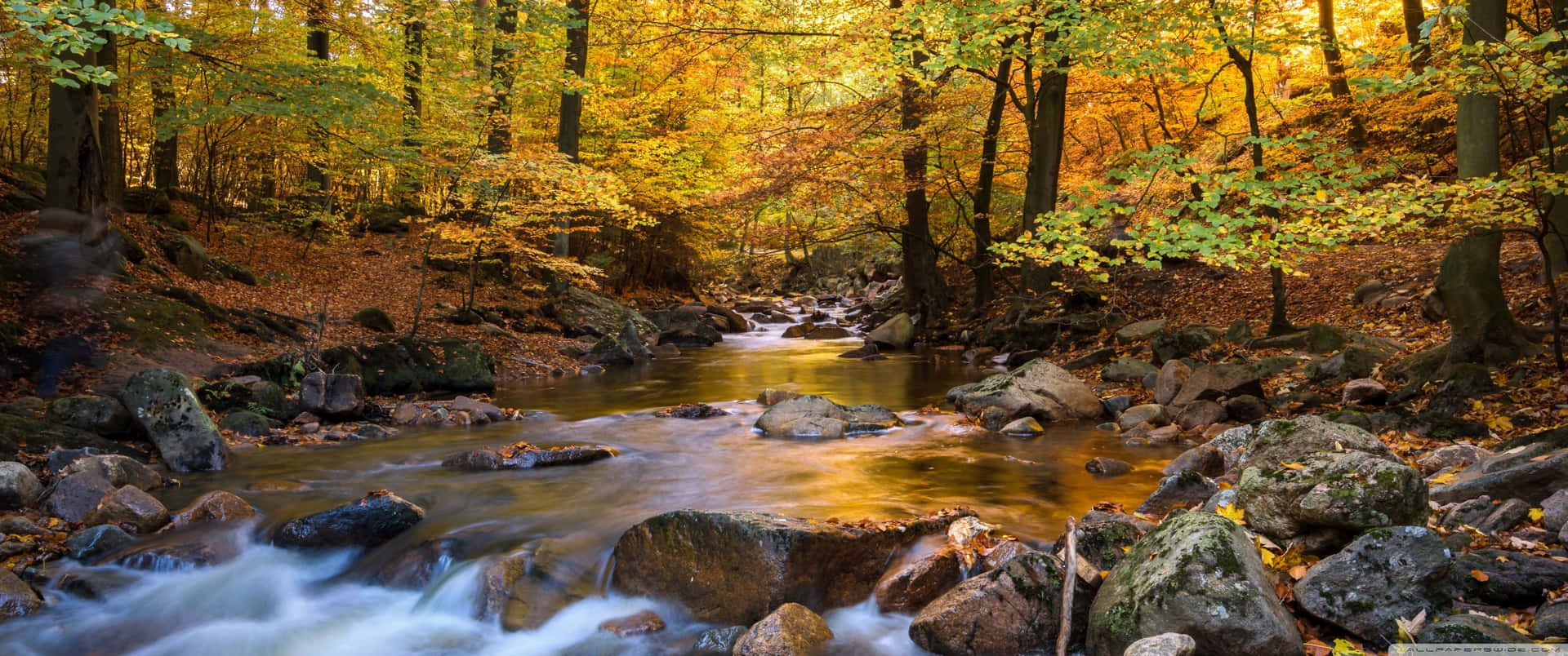 Enjoy the Nature's Beauty with a 3440x1440 Fall Wallpaper