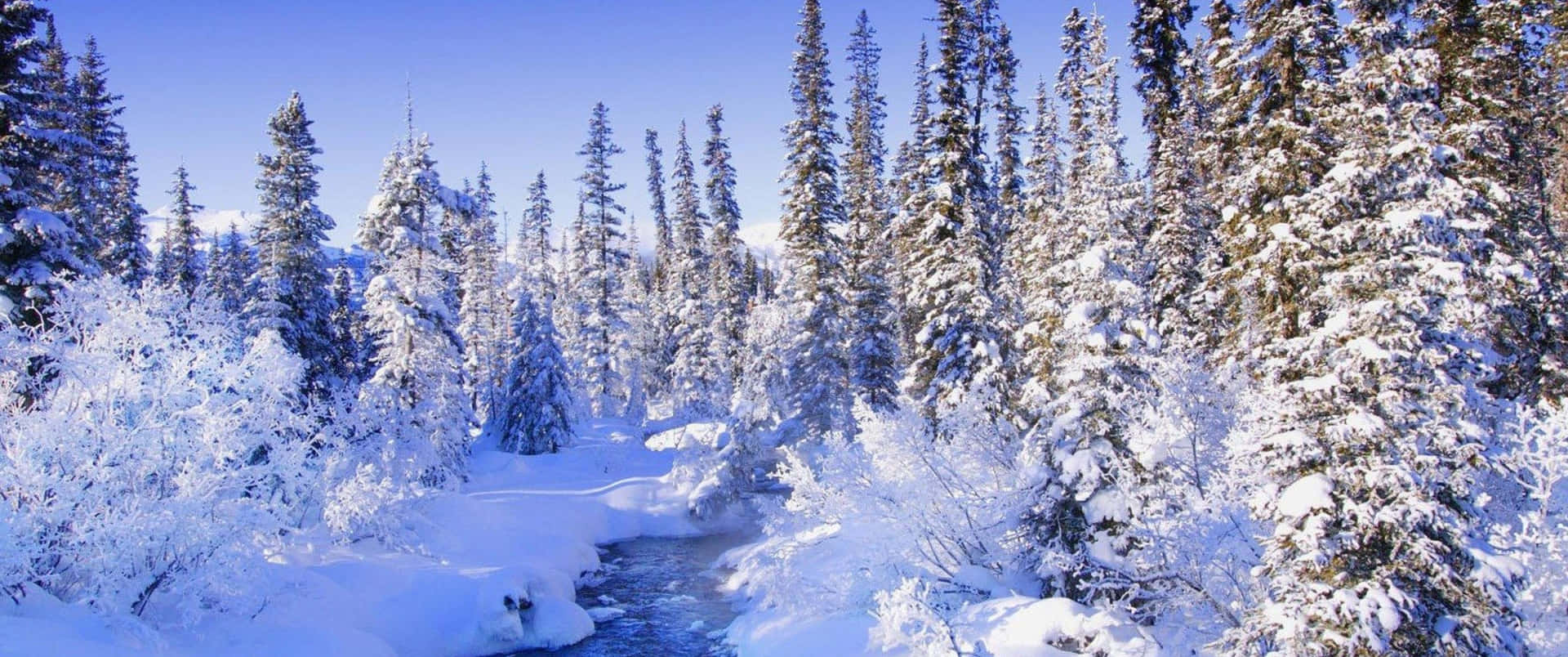 A Snowy Winter Landscape Wallpaper
