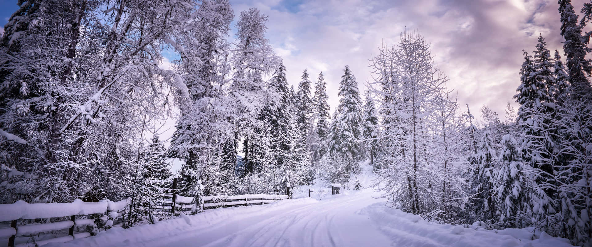 A beautiful winter landscape Wallpaper