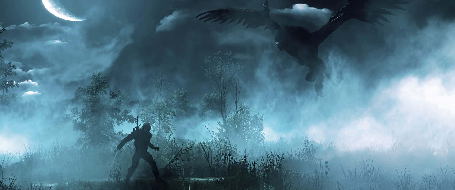 En episk kamp mellem Geralt of Rivia og en usynlig fjende. Wallpaper