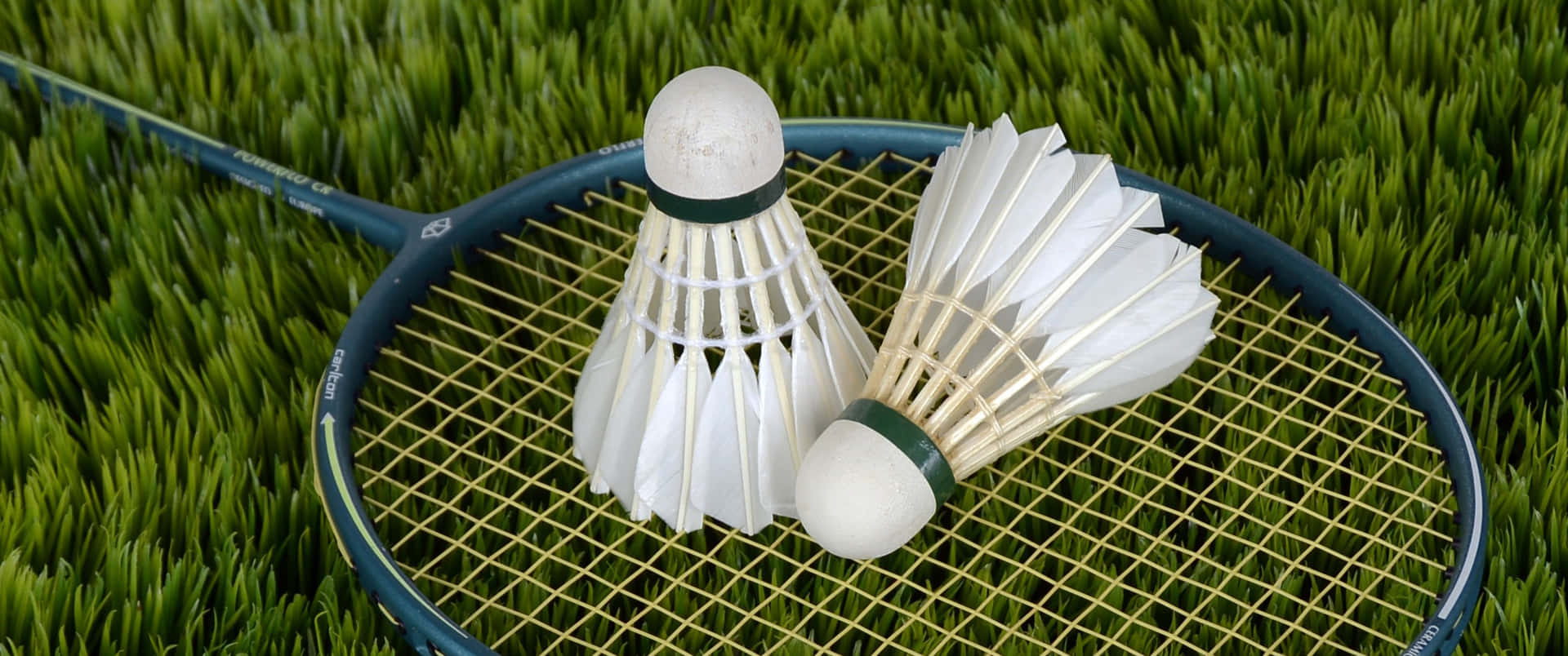 Badminton Shuttlecock And Racket On Grass