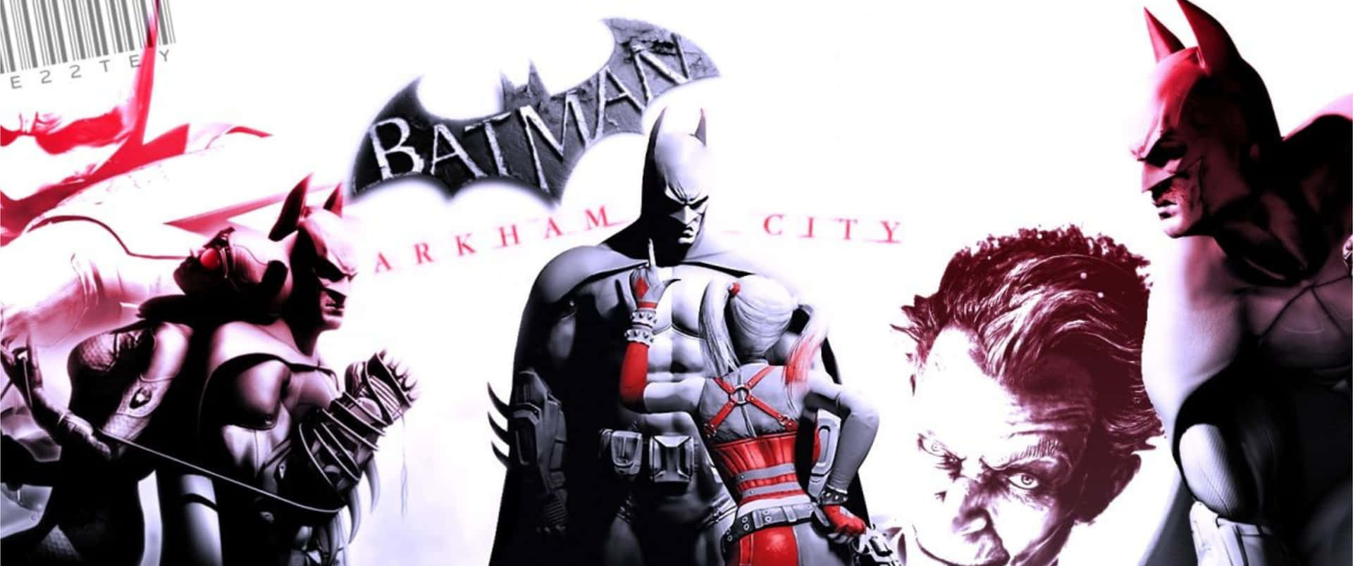 Batman stands ready in his Arkham City outfit.