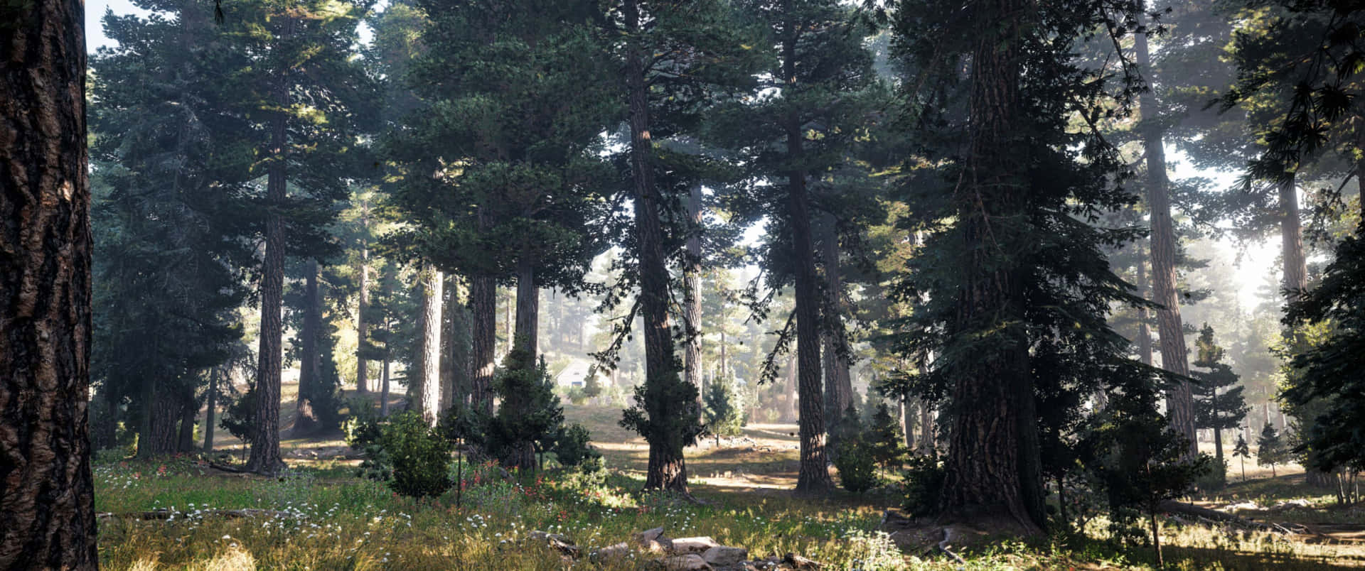 Far Cry 5 viewed in Incredible 3440x1440p resolution