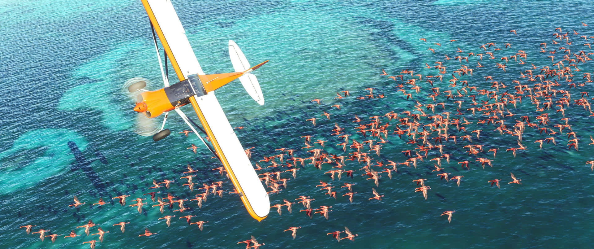 Surcalos Cielos En Microsoft Flight Simulator
