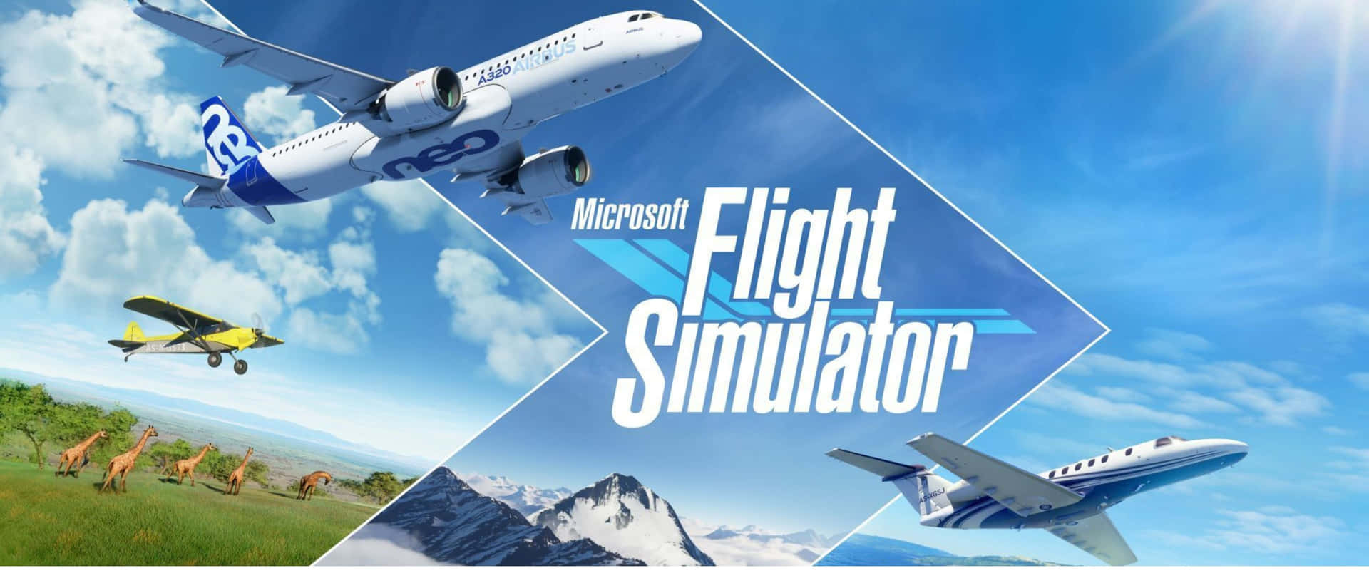 Simulatoredi Volo Per Pc - Microsoft Flight Simulator
