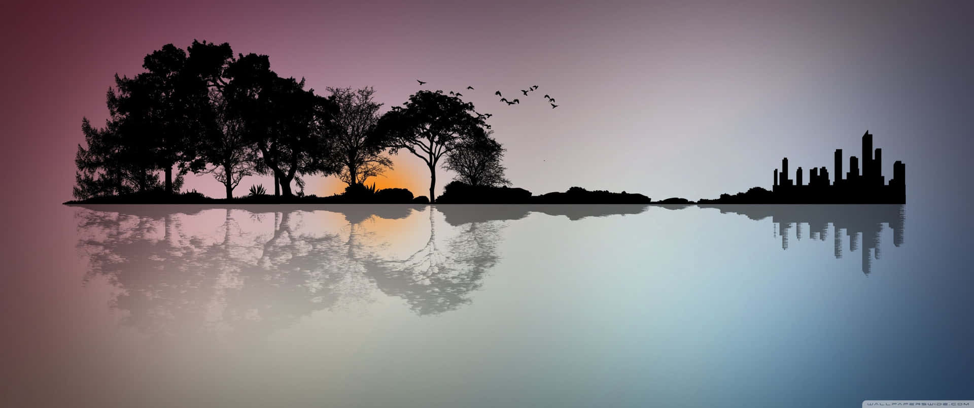 a silhouette of trees and water with reflections