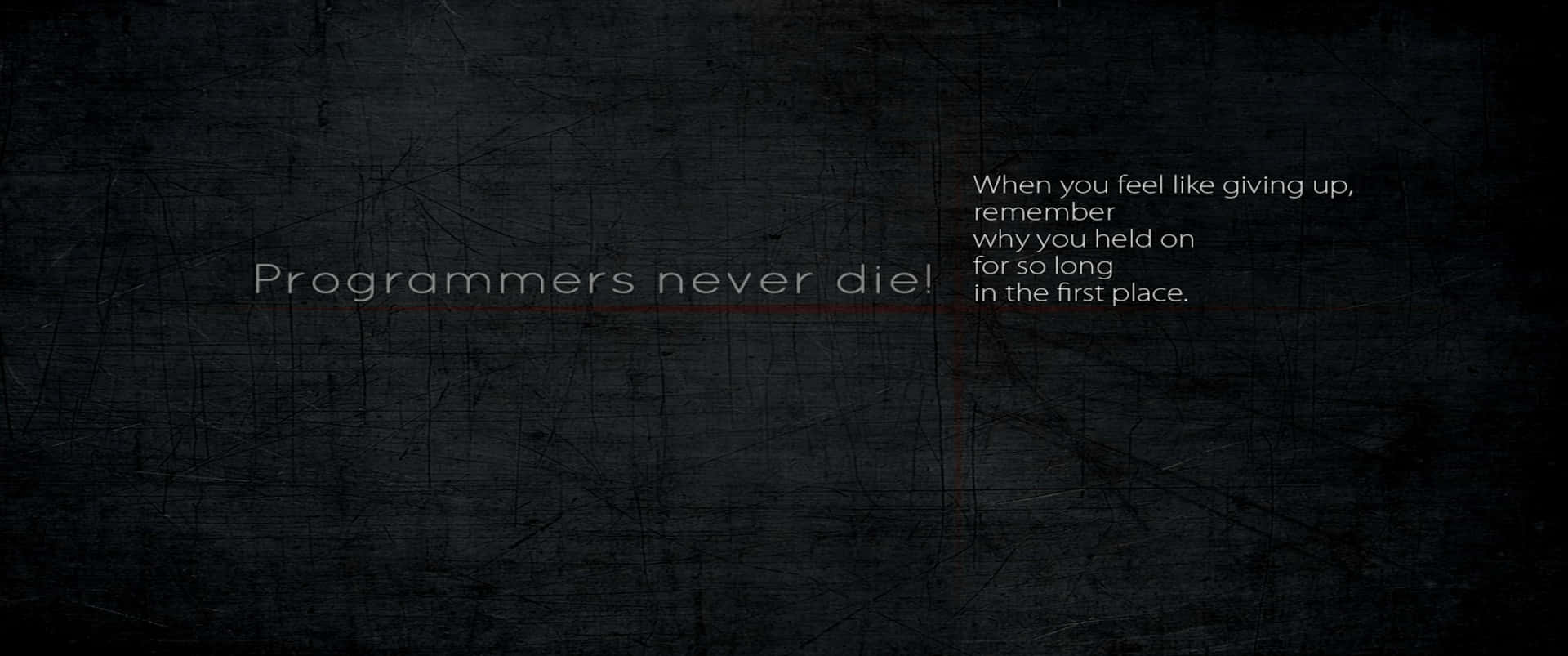 A Black Background With The Words,'programmers Never Die'