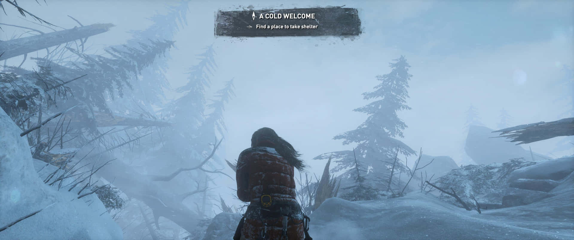 Schneebedecktewildnis 3440x1440p Hintergrundbild Von Rise Of The Tomb Raider